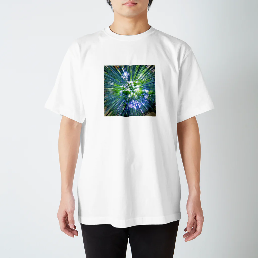 minty📸の竹林 Regular Fit T-Shirt