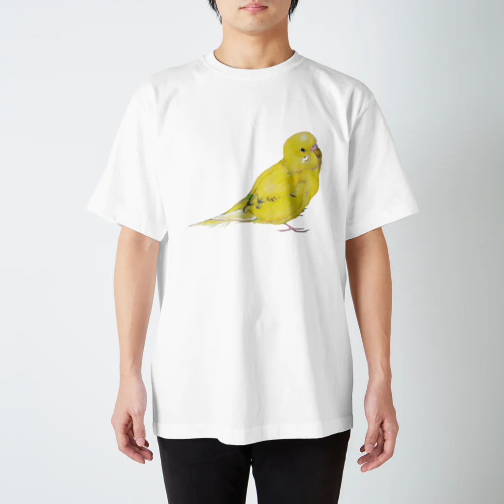 森図鑑の[森図鑑]セキセイインコ黄色 スタンダードTシャツ