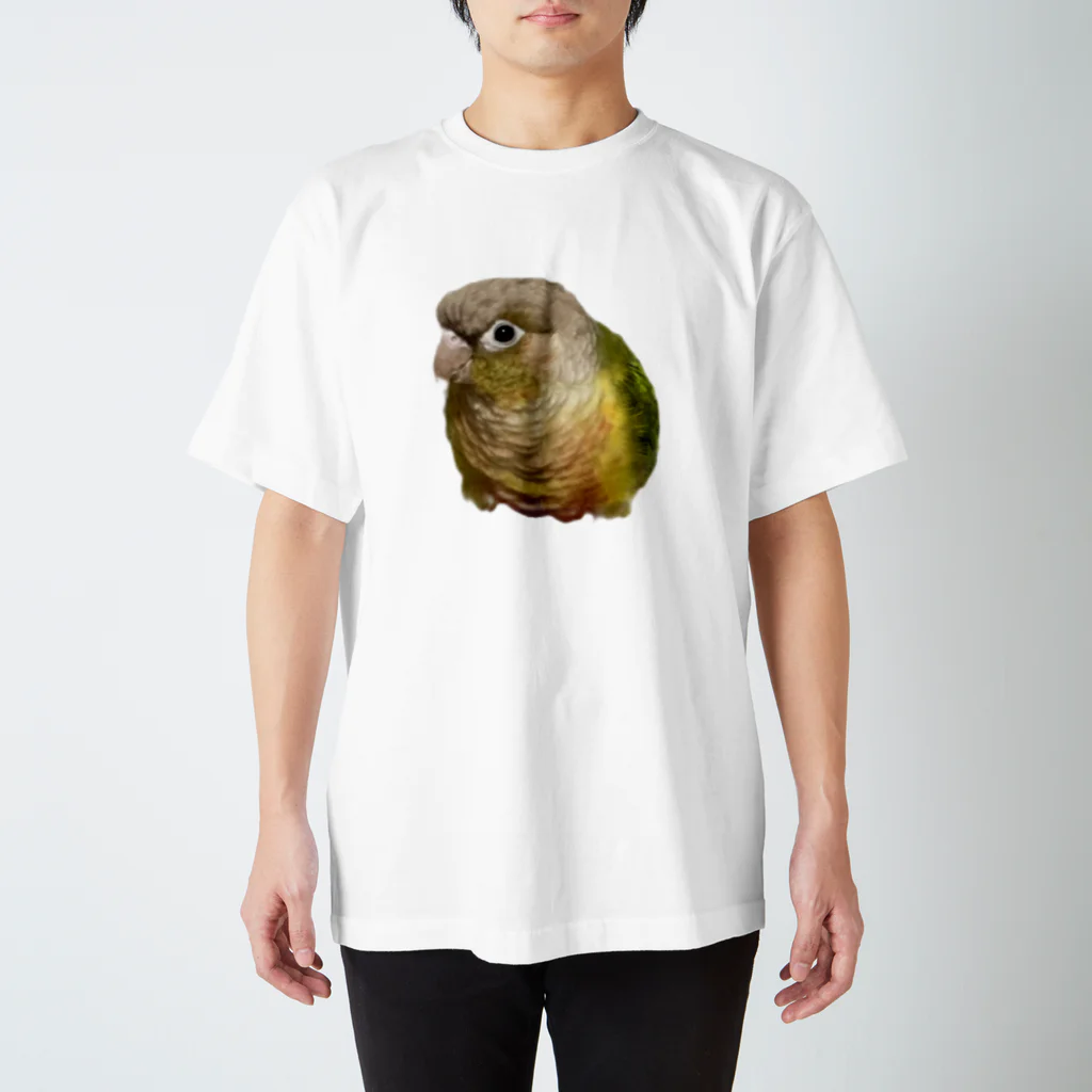 クレーンゲームのホオミドリアカオウロコインコ パインちゃん Regular Fit T-Shirt