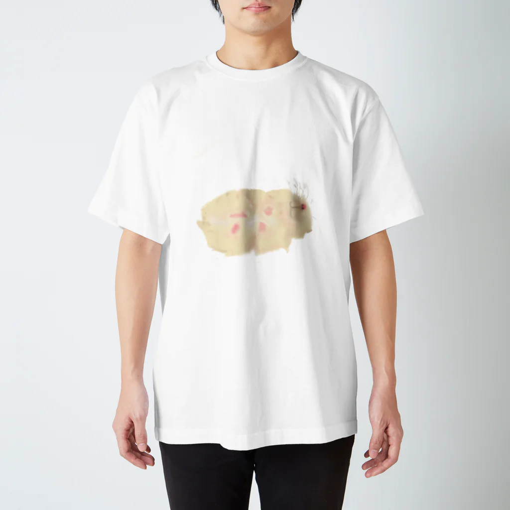 ちろの寝てるチロル Regular Fit T-Shirt