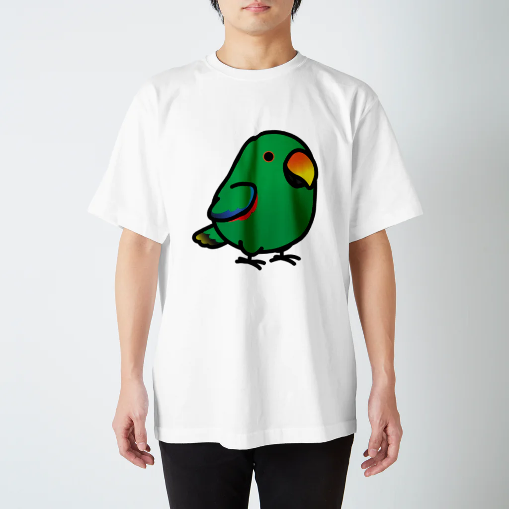 Cody the LovebirdのChubby Bird オオハナインコ Regular Fit T-Shirt