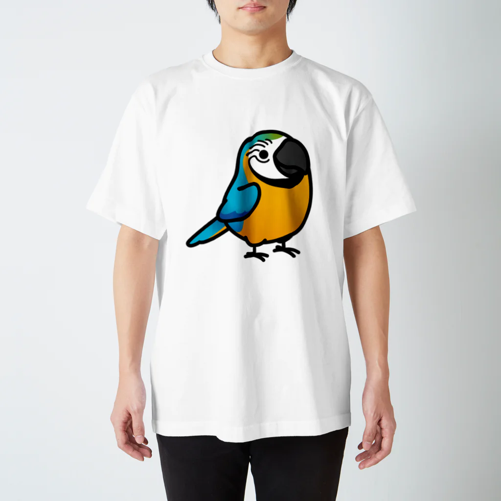 Cody the LovebirdのChubby Bird ルリコンゴウインコ スタンダードTシャツ