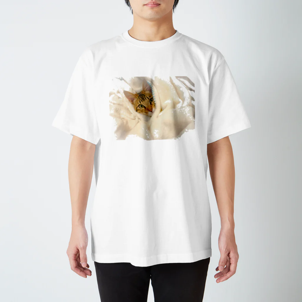 じっぷぁの写真のところの可愛さを理解してる猫 Regular Fit T-Shirt