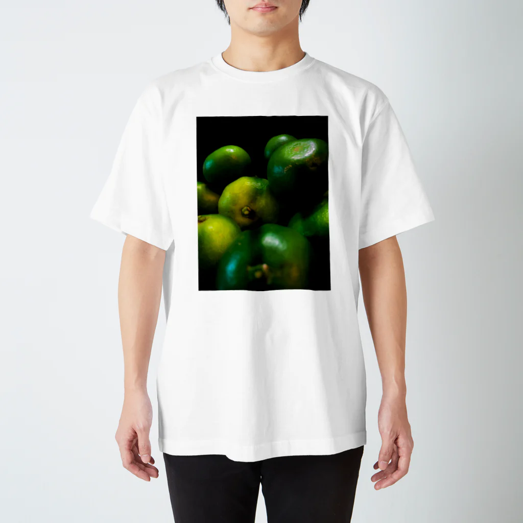 じっぷぁの写真のところの青い果実 スタンダードTシャツ