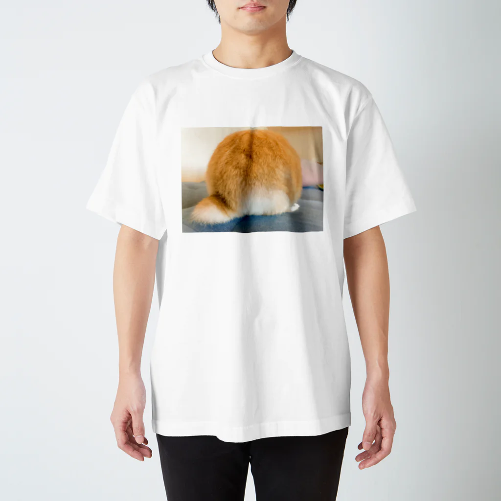 じっぷぁの写真のところのうさぎのしっぽ スタンダードTシャツ