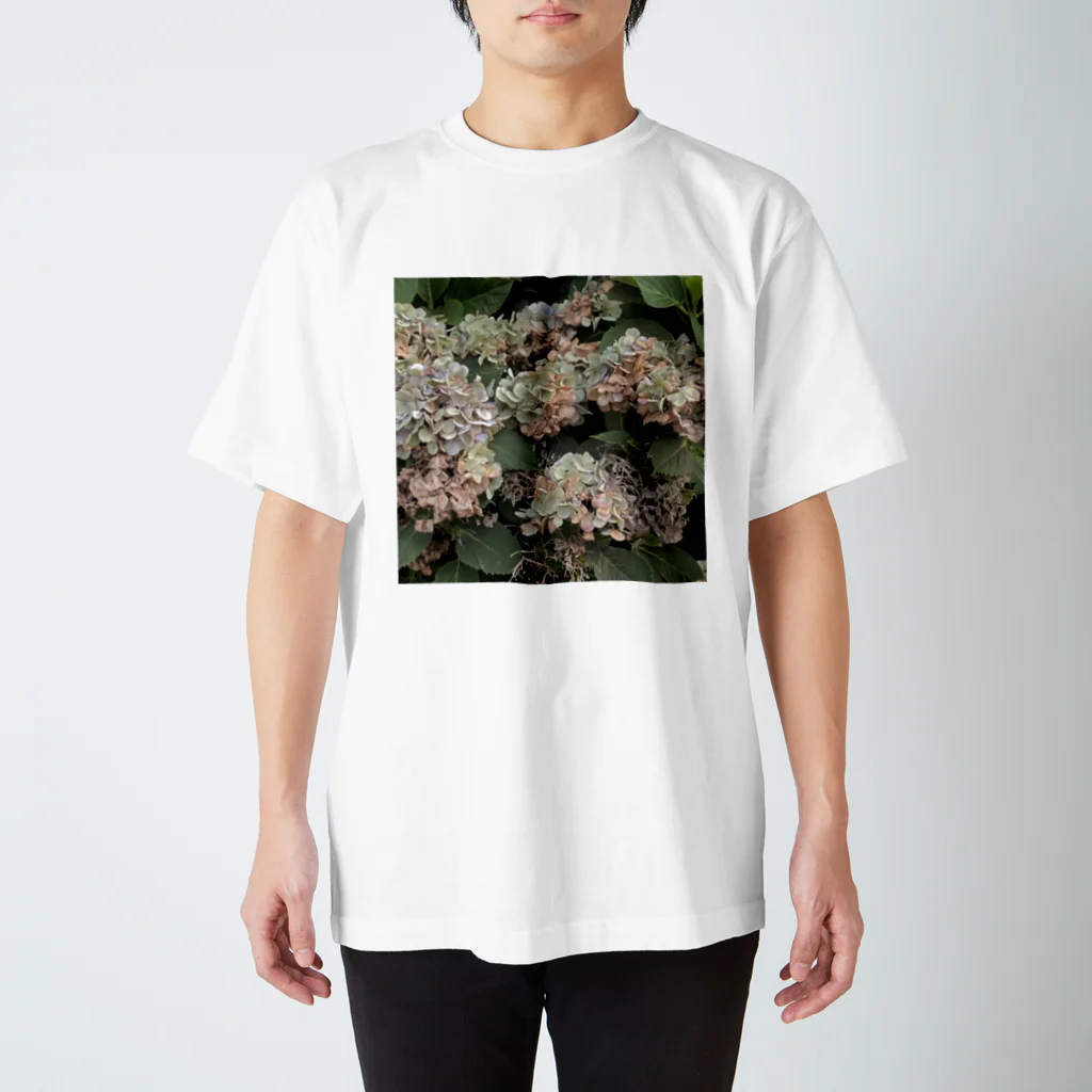 kurageの紫陽花 スタンダードTシャツ