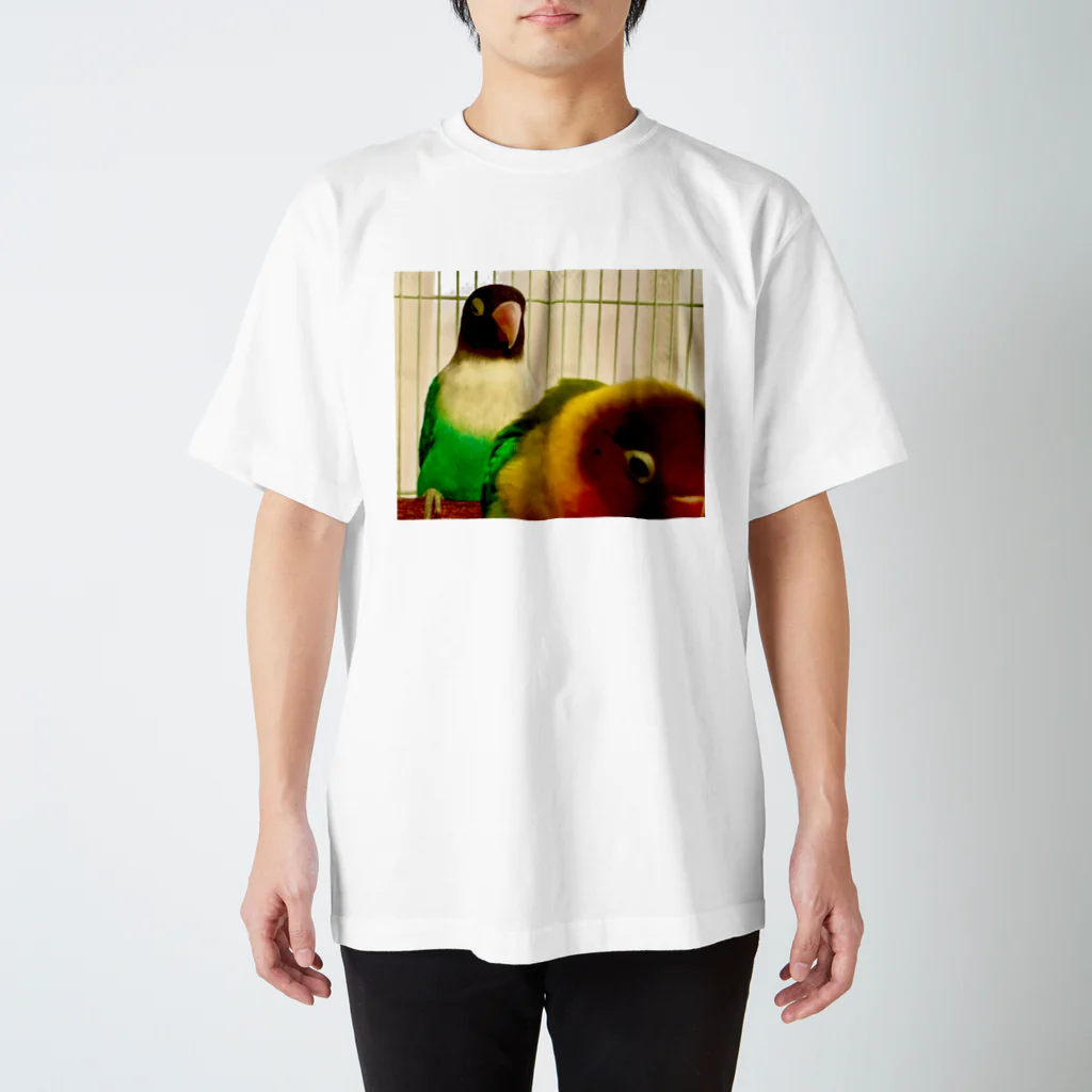 BLIND ALLEYの怒りのボタンインコ スタンダードTシャツ