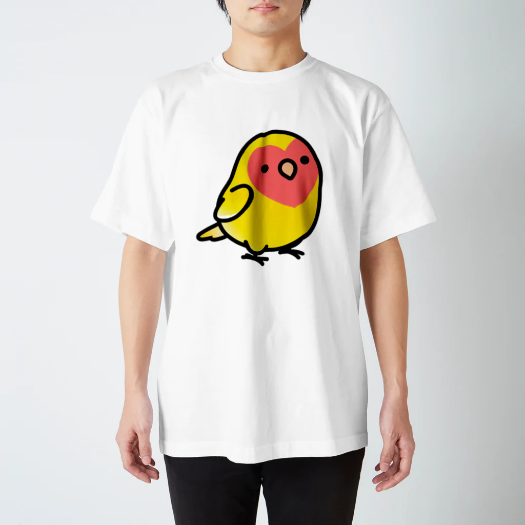 Cody the LovebirdのChubby Bird コザクラインコ スタンダードTシャツ