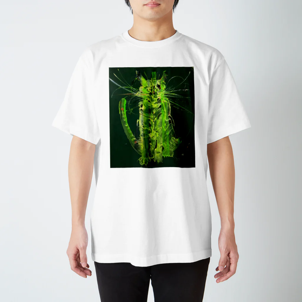 木原千春/KIHACHIHAのGREEN CAT スタンダードTシャツ