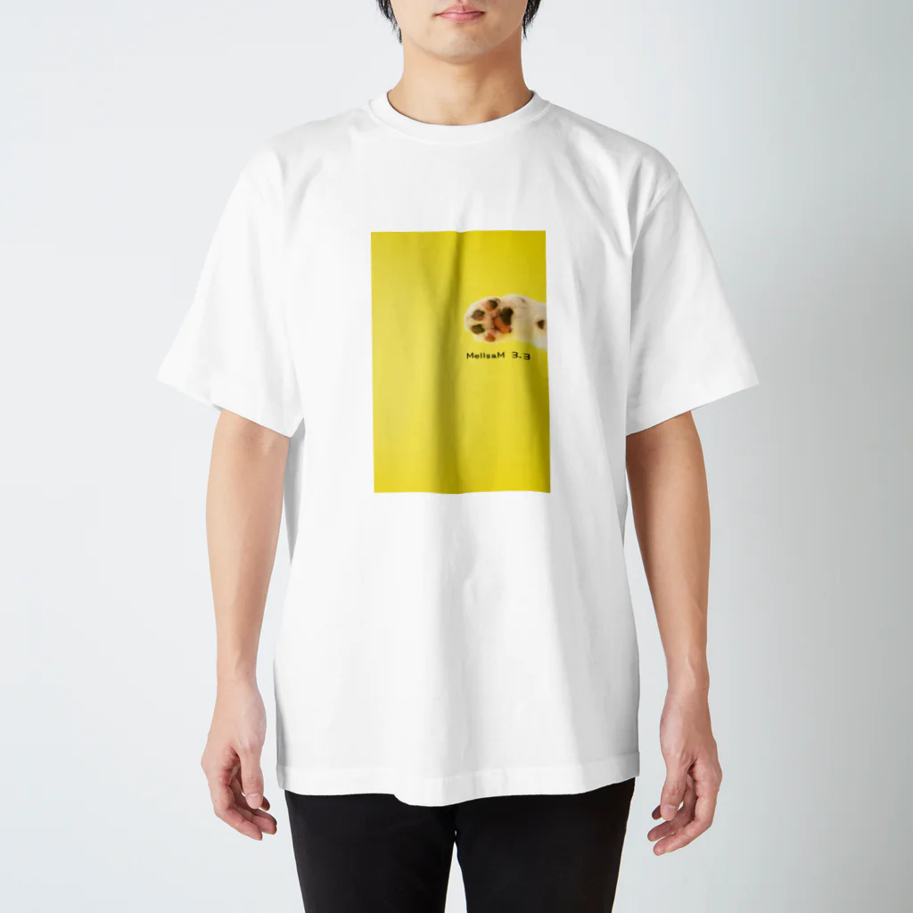 MellsaM 3.3のMellsaM 3.3 スタンダードTシャツ