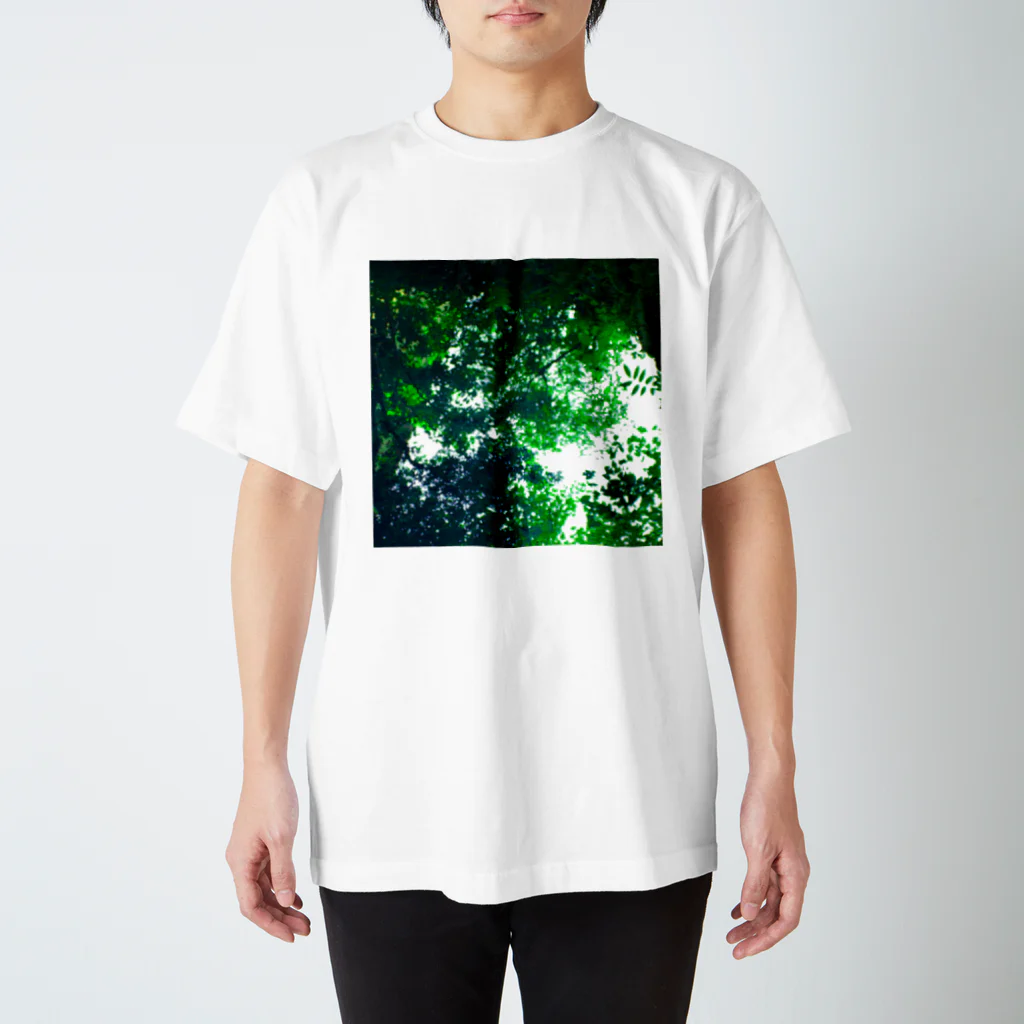 fée de la roseの水の中の世界 Regular Fit T-Shirt