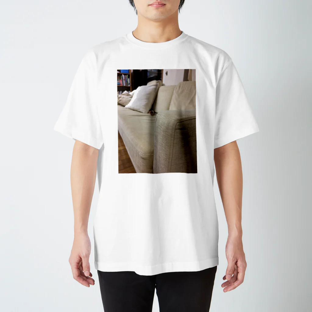 お山のはむち Regular Fit T-Shirt