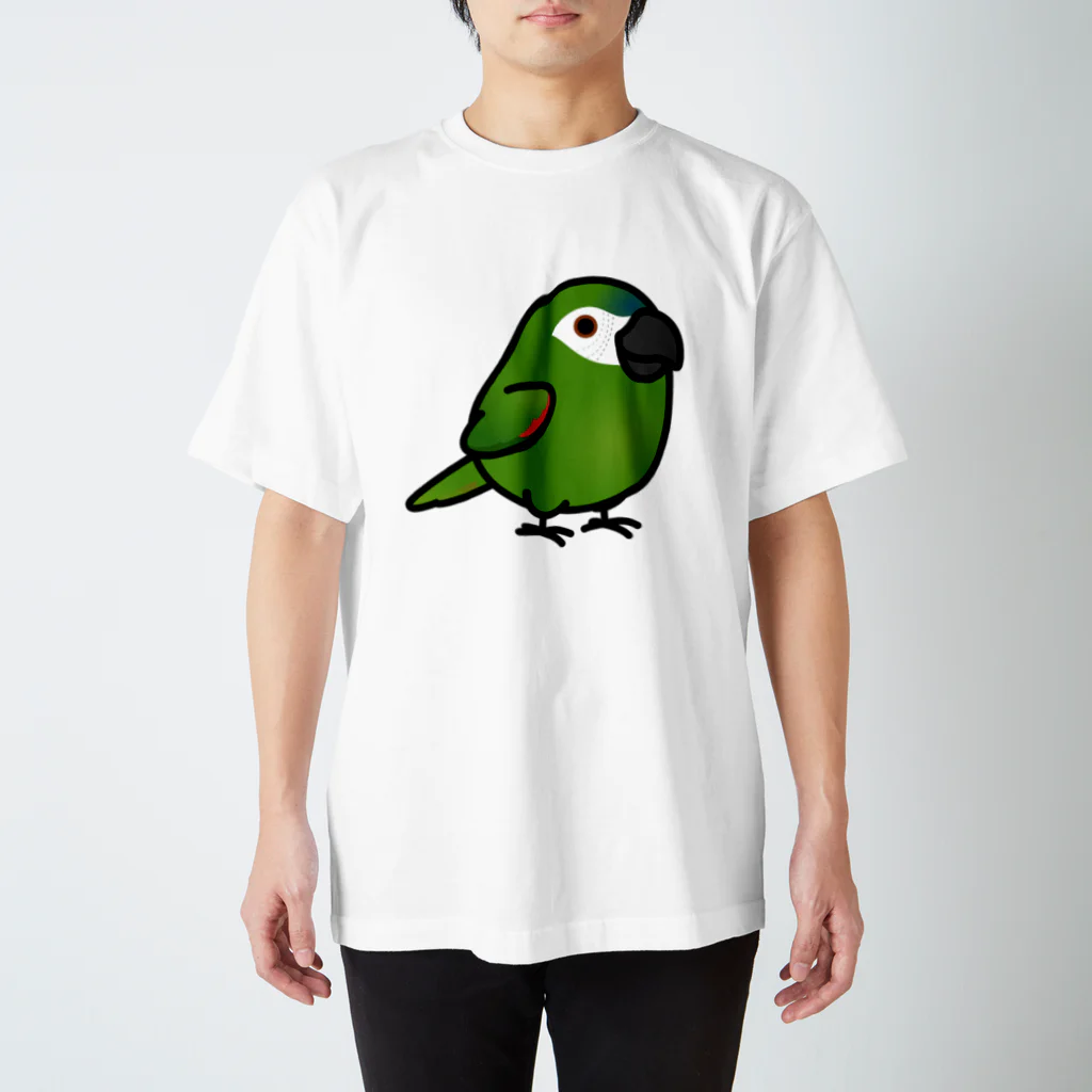 Cody the LovebirdのChubby Bird　コミドリコンゴウインコ スタンダードTシャツ