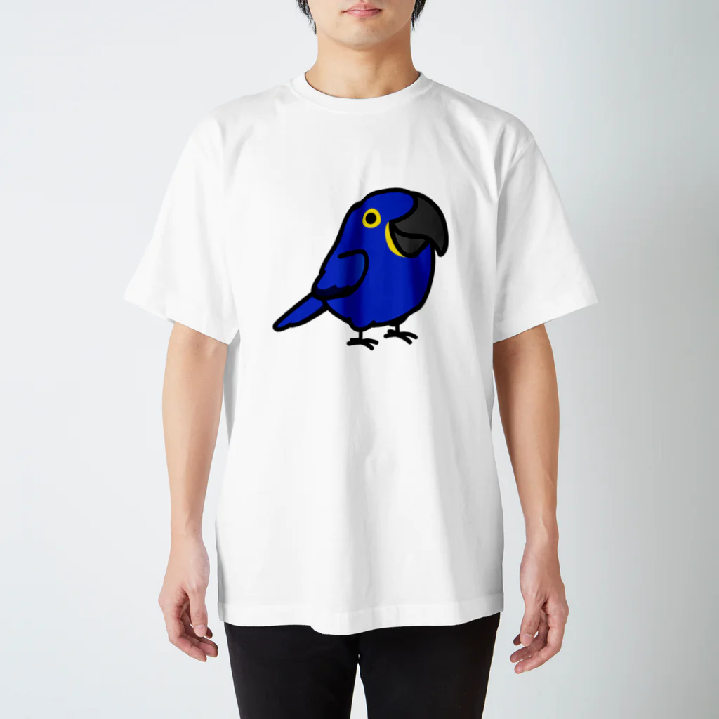 Cody the LovebirdのChubby Bird スミレコンゴウインコ スタンダードTシャツ