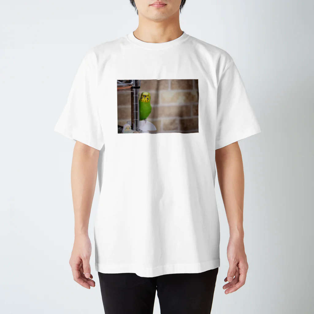 popotarosanのひょっこりぽぽちゃんのロンT Regular Fit T-Shirt