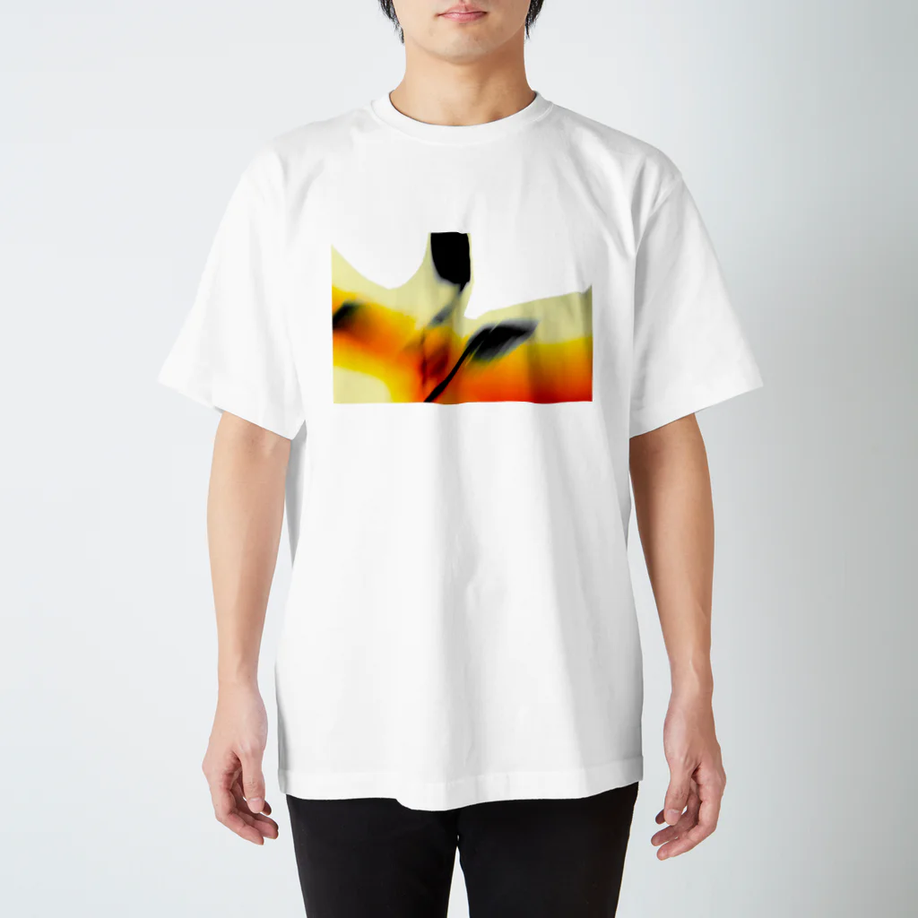 Roberto da Costaのabstratc aragon nature スタンダードTシャツ