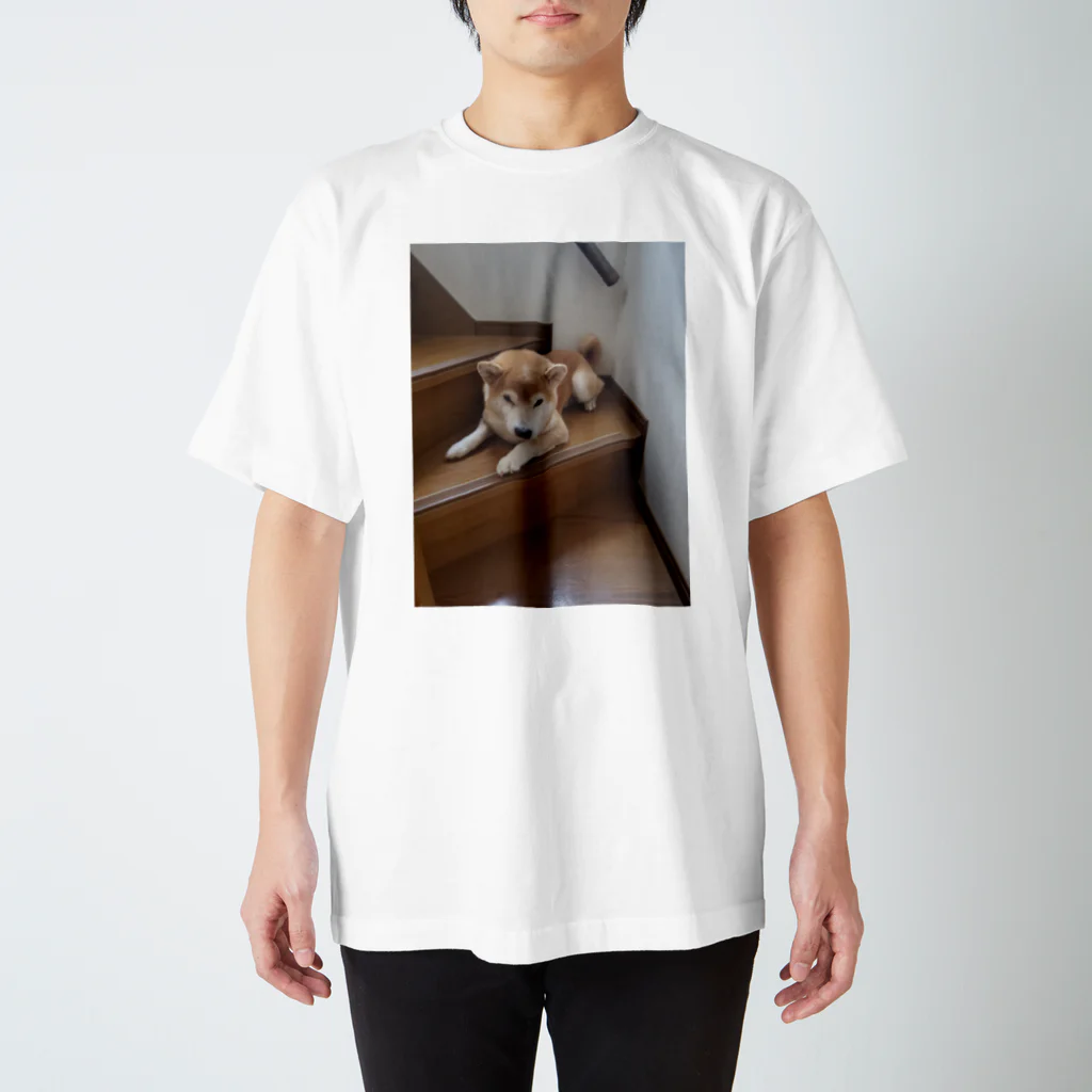 riotaの柴犬たろう Regular Fit T-Shirt