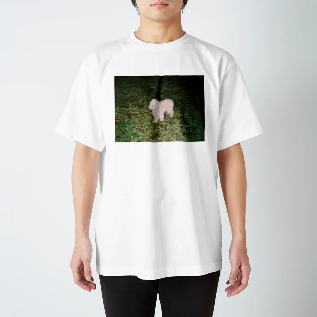 osayuのよその犬 スタンダードTシャツ