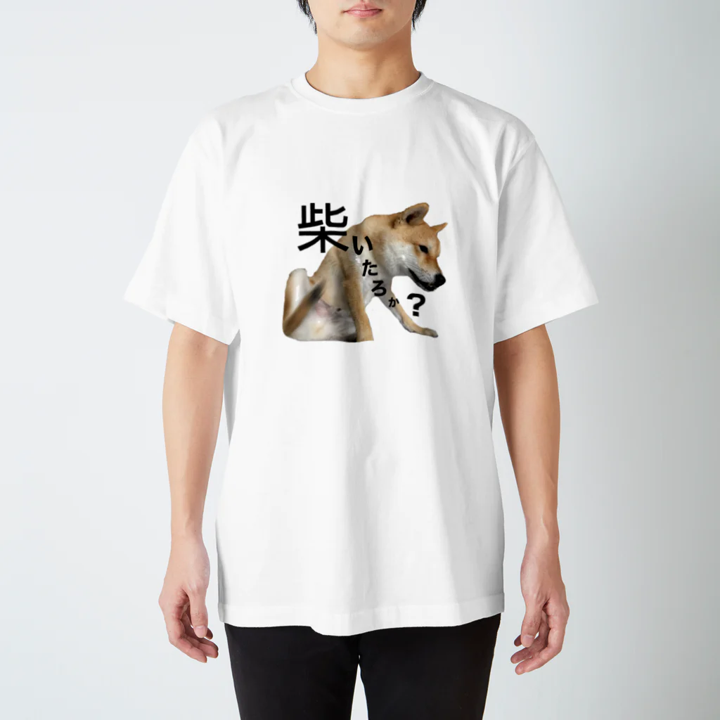 KOTARO_の虎太郎15 スタンダードTシャツ