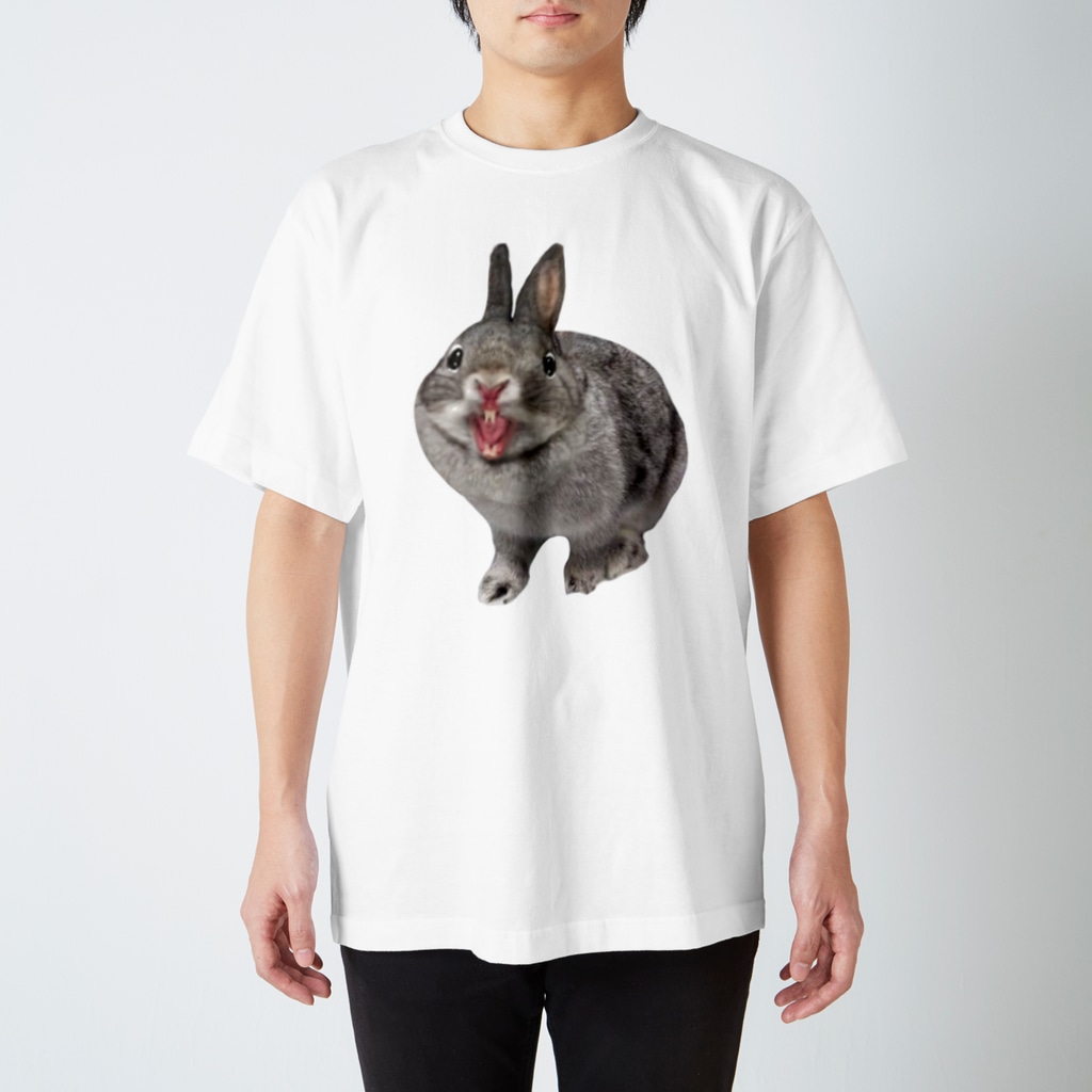 いきもの大好き！ほほえみフレンズのウサギさんが遊んでほしがっている Regular Fit T-Shirt