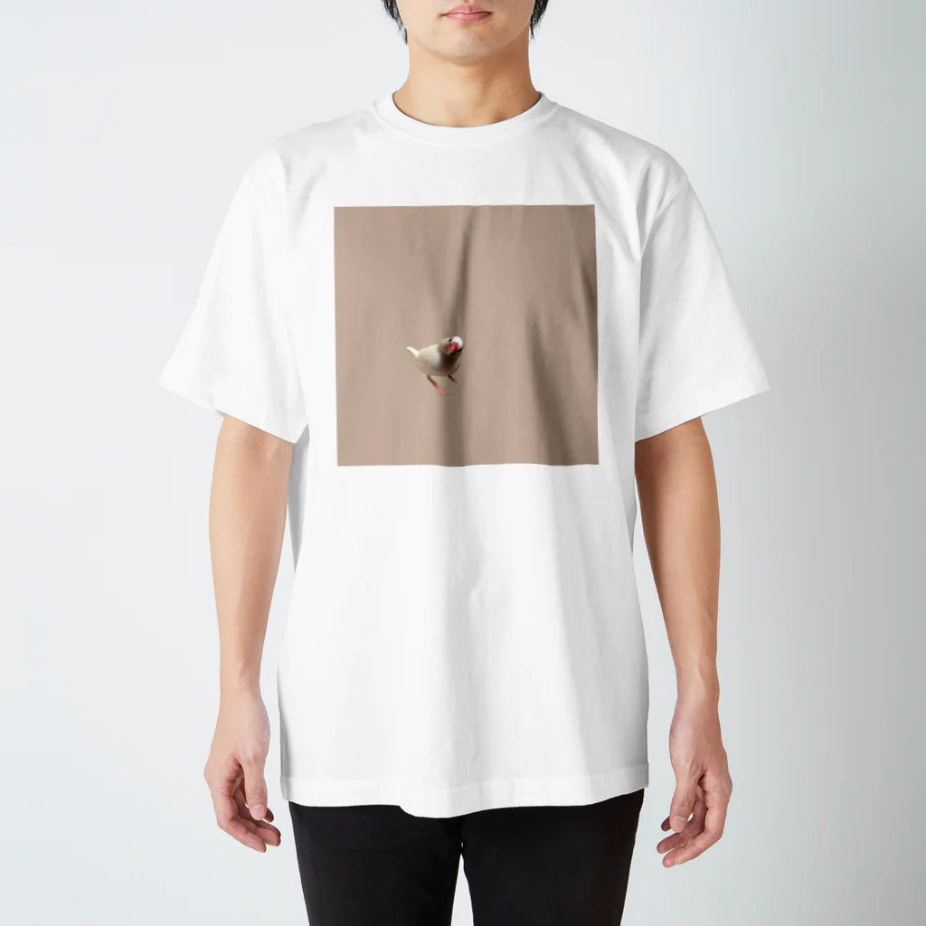 文鳥さんフォトショグッズ〜クリエイターshu〜のちょこんと白文鳥さん（一歳半） Regular Fit T-Shirt