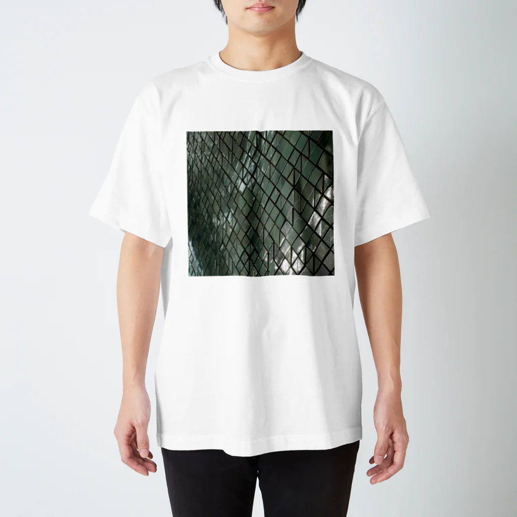 リューカデンドロンのタイル Regular Fit T-Shirt