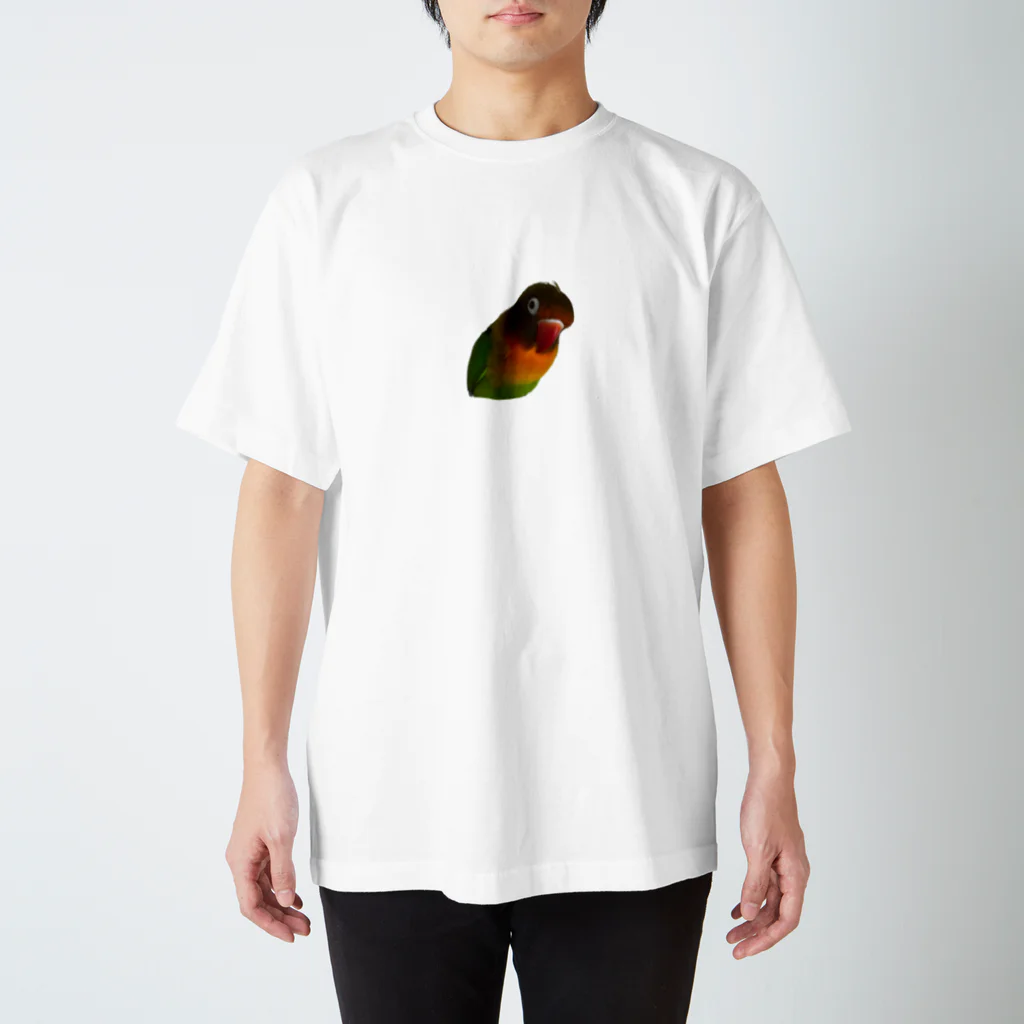 sambarumba-lovebirdのlove bird samba スタンダードTシャツ