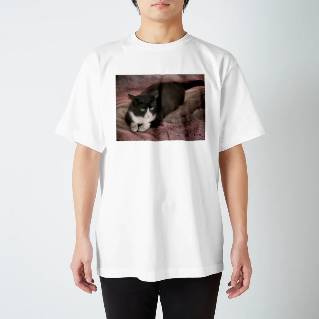 12cats-12secondsの見つめる清のTシャツ スタンダードTシャツ