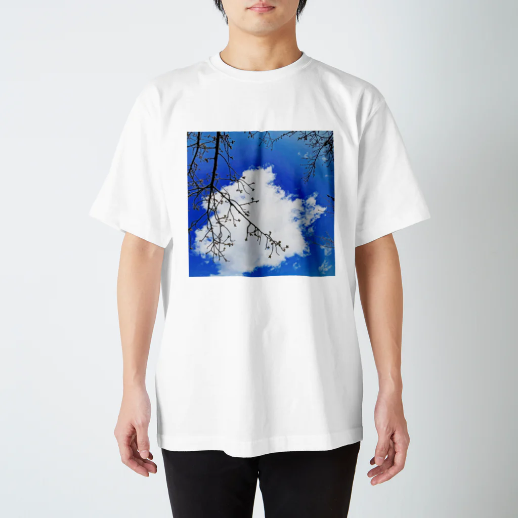 ケンタウルスの露のフォトデザイン(芽吹き) スタンダードTシャツ