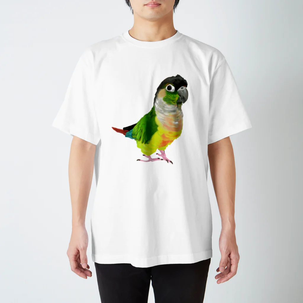 アキクサインコとウロコインコのウロコインコ スタンダードTシャツ