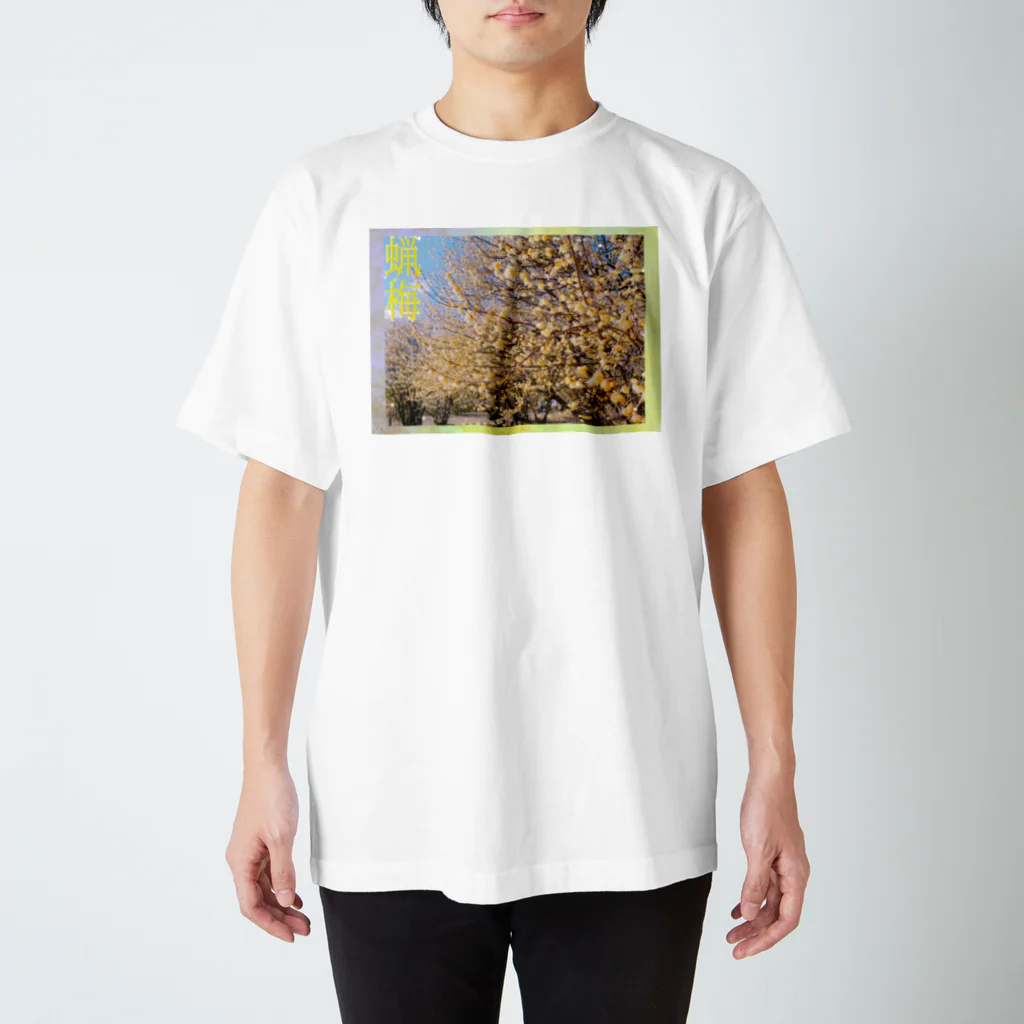 神丸の蝋梅 Regular Fit T-Shirt