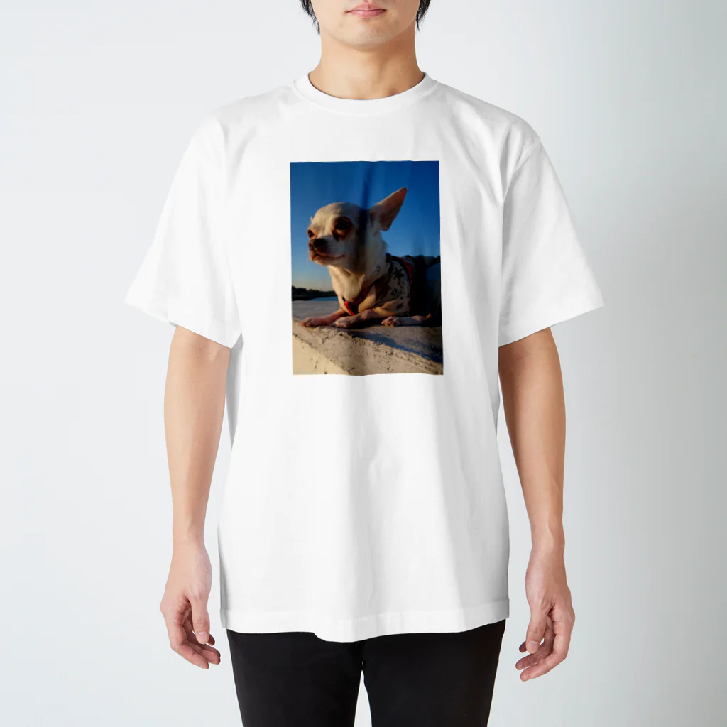 うめこずかんの海辺のうめこ１ スタンダードTシャツ