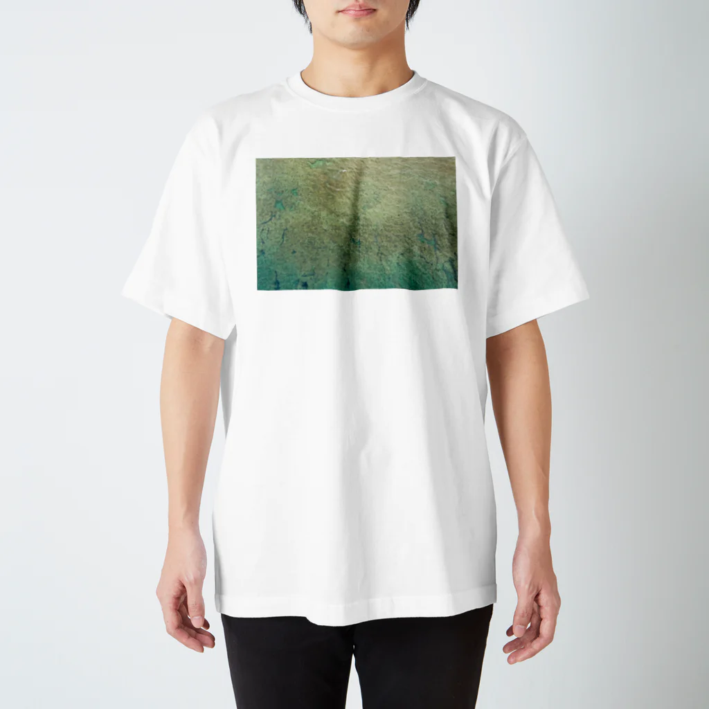 coyote brandのcoyote brand Drone shot T-shirts スタンダードTシャツ