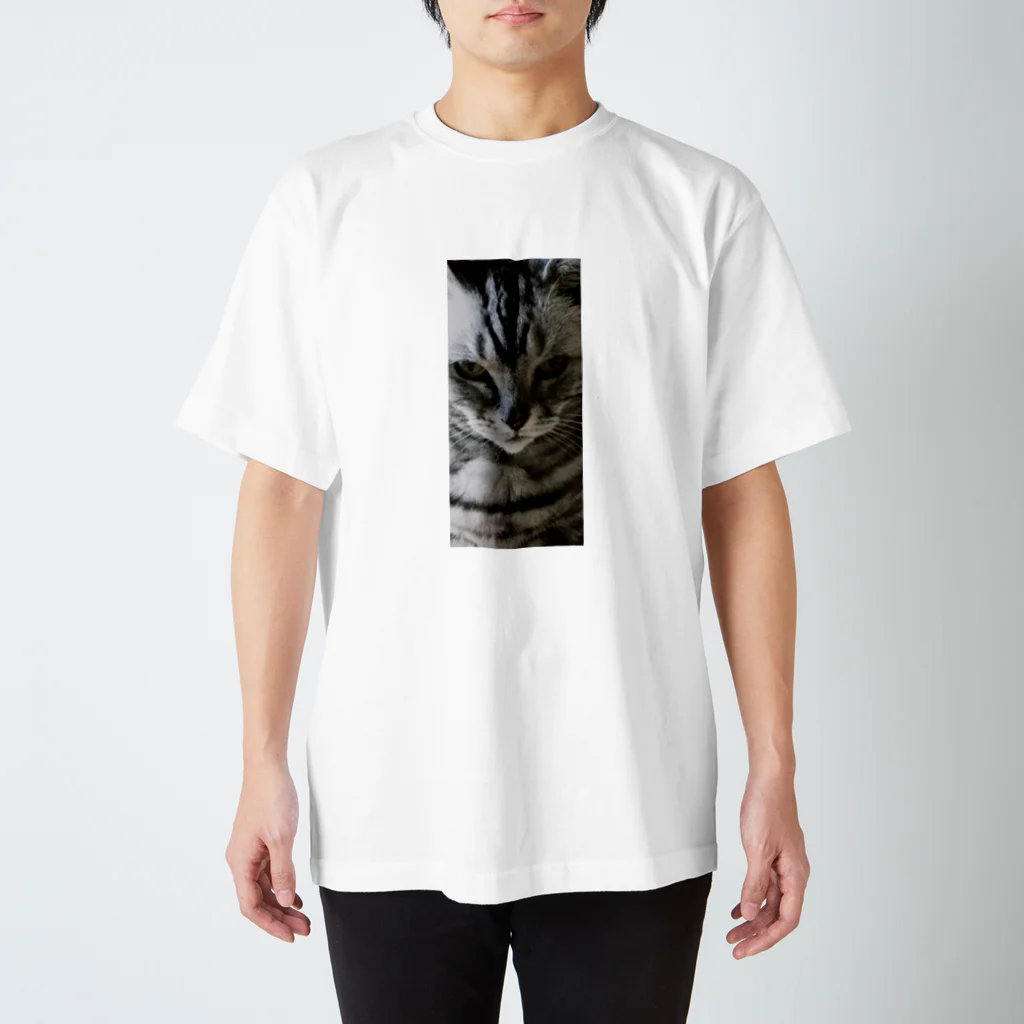 ポメラニアンの福(9歳)のミィちゃん(16歳)(寄り) Regular Fit T-Shirt