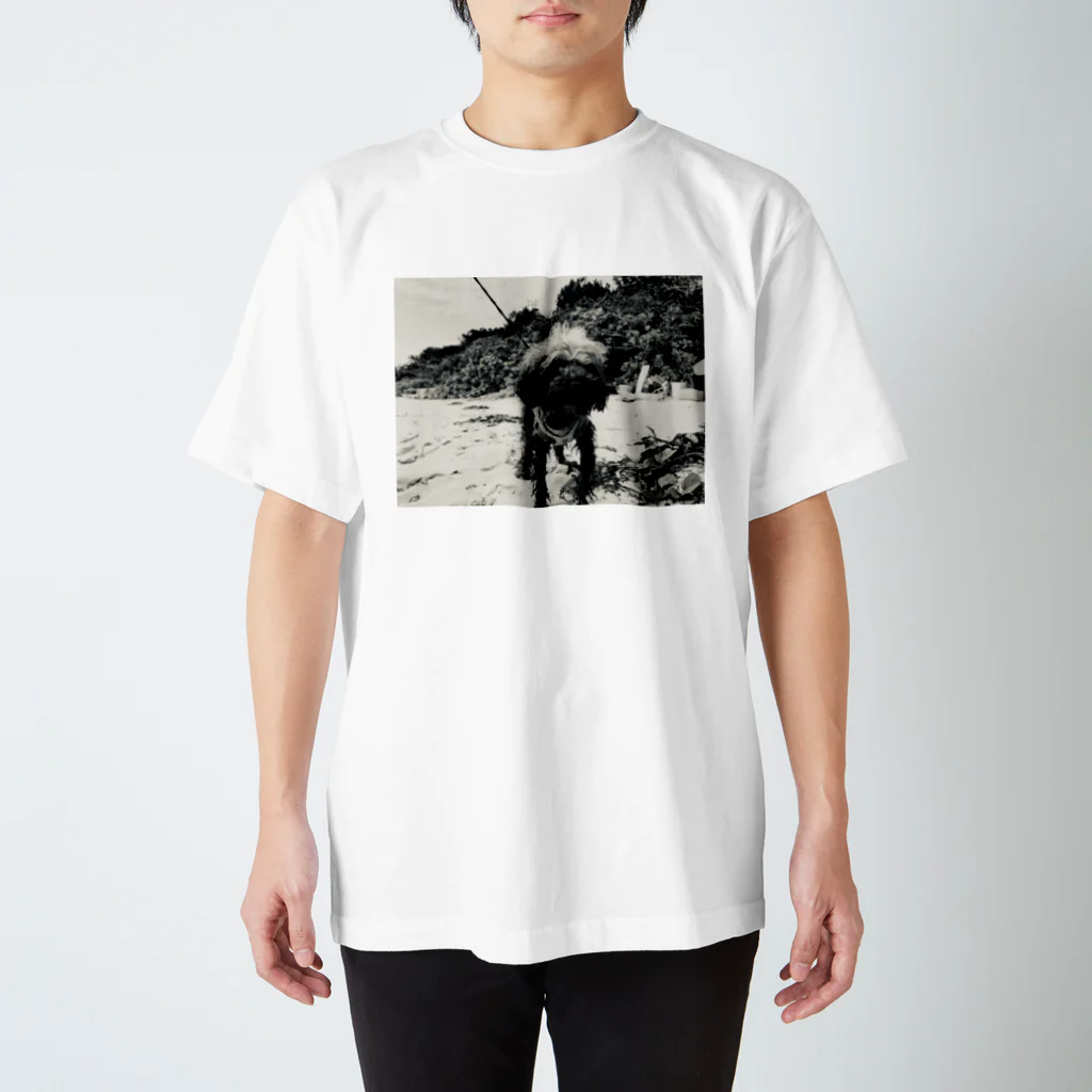 god < dog <<<< eiのWorldwide dog in beach  Regular Fit T-Shirt