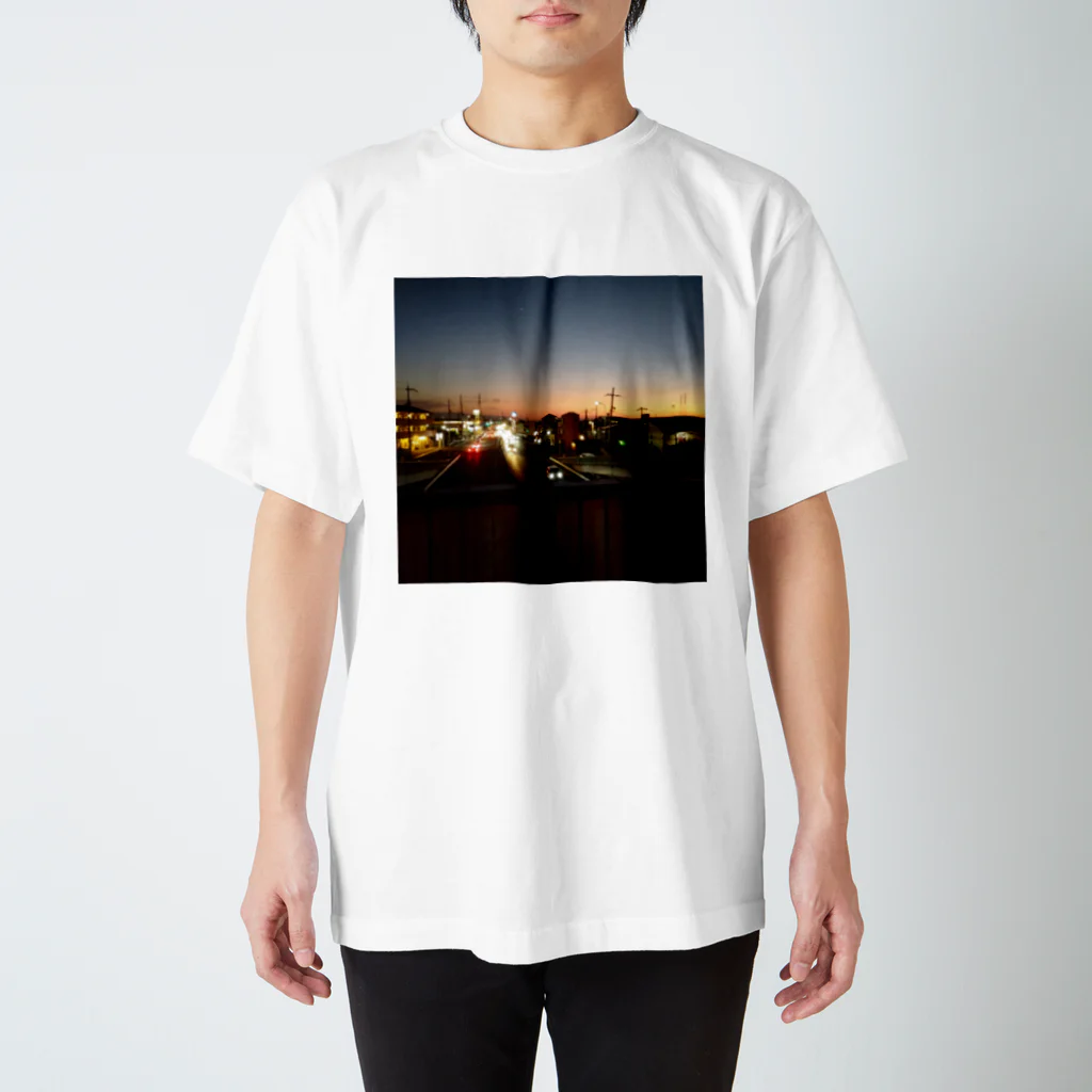 ナチュラルフラワーの夕暮れどき Regular Fit T-Shirt