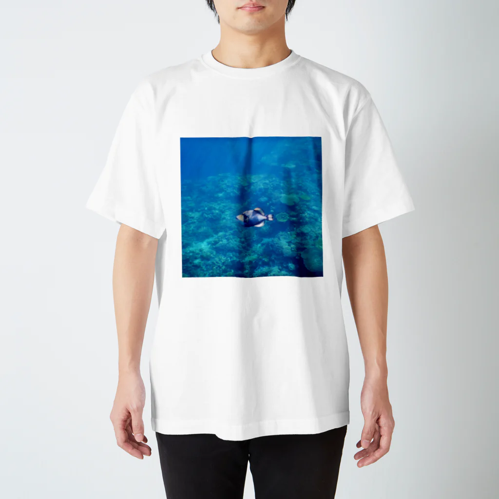 海とマッチョとKINTRAYの阿嘉島のゴマモン スタンダードTシャツ