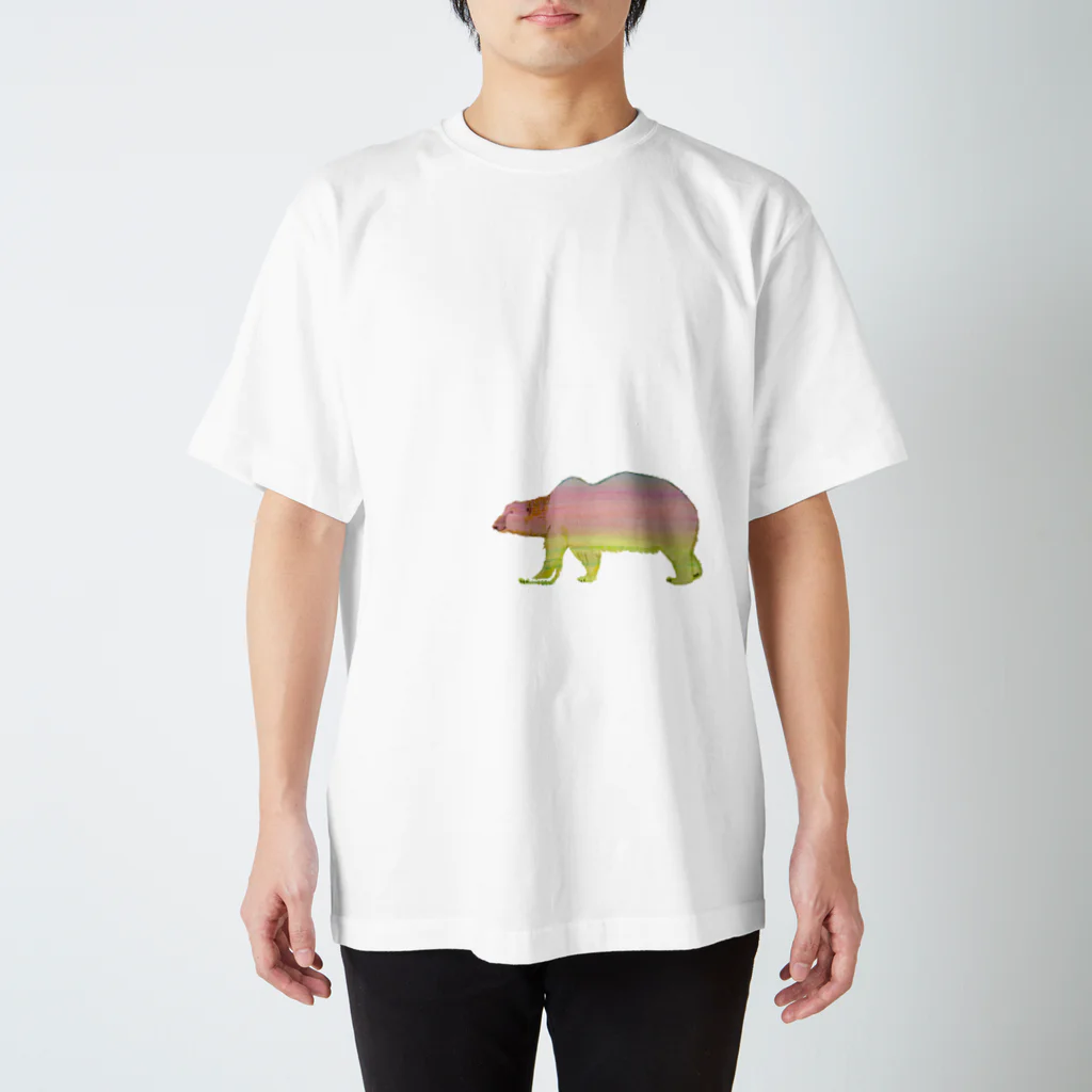 文様動物園 Pattern Zoo Museum shopの桜と菜の花(ボーダー) × ホッキョクグマ Regular Fit T-Shirt