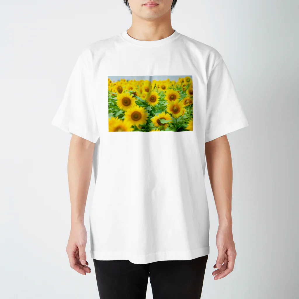 orange_honeyのひまわり2 スタンダードTシャツ