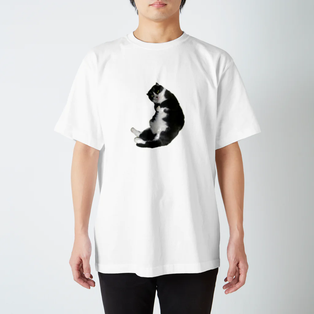 ネコまにあ 【12匹の猫➕うずら】のまめパパ　実写版パターン2 スタンダードTシャツ