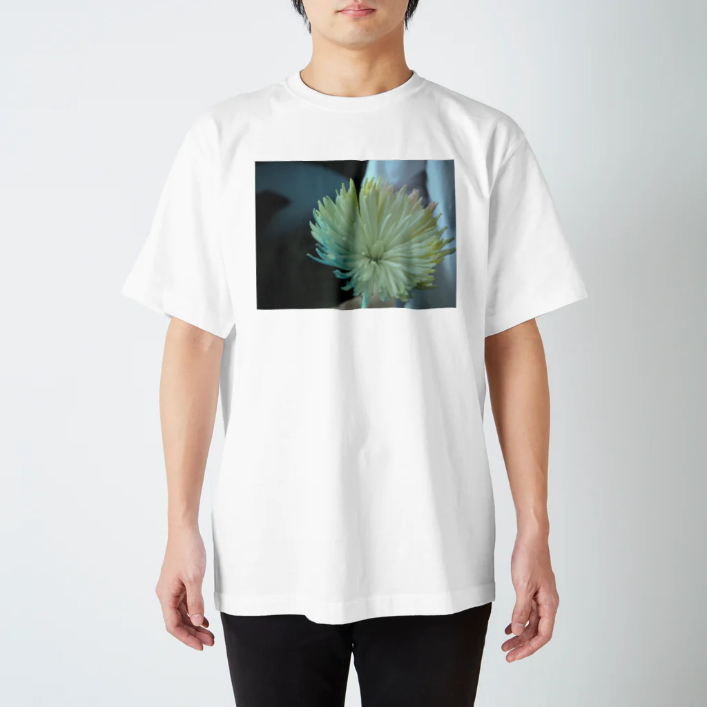 bloomのCOLOR スタンダードTシャツ