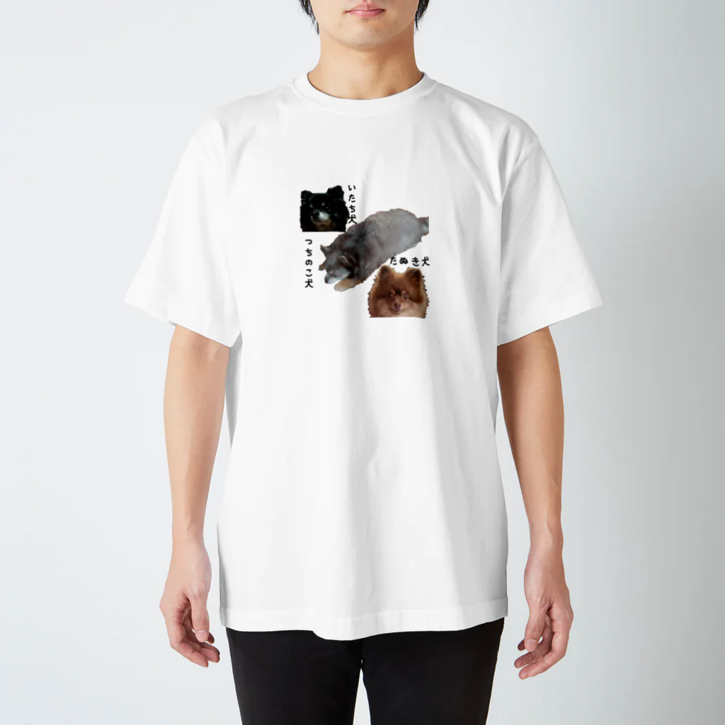 3（4？）わんのいたち犬·つちのこ犬·たぬき犬 Regular Fit T-Shirt