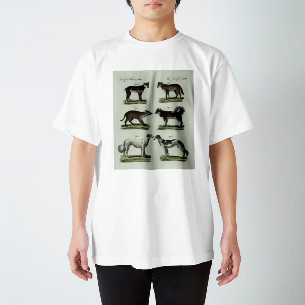 J. Jeffery Print Galleryの1802年ドイツの犬たち スタンダードTシャツ