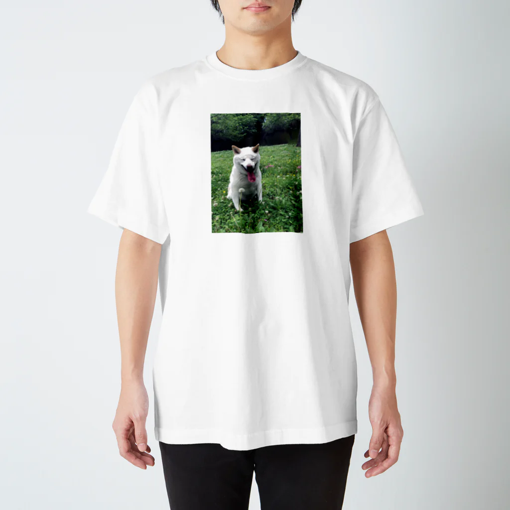 宍村の実家の犬２ スタンダードTシャツ