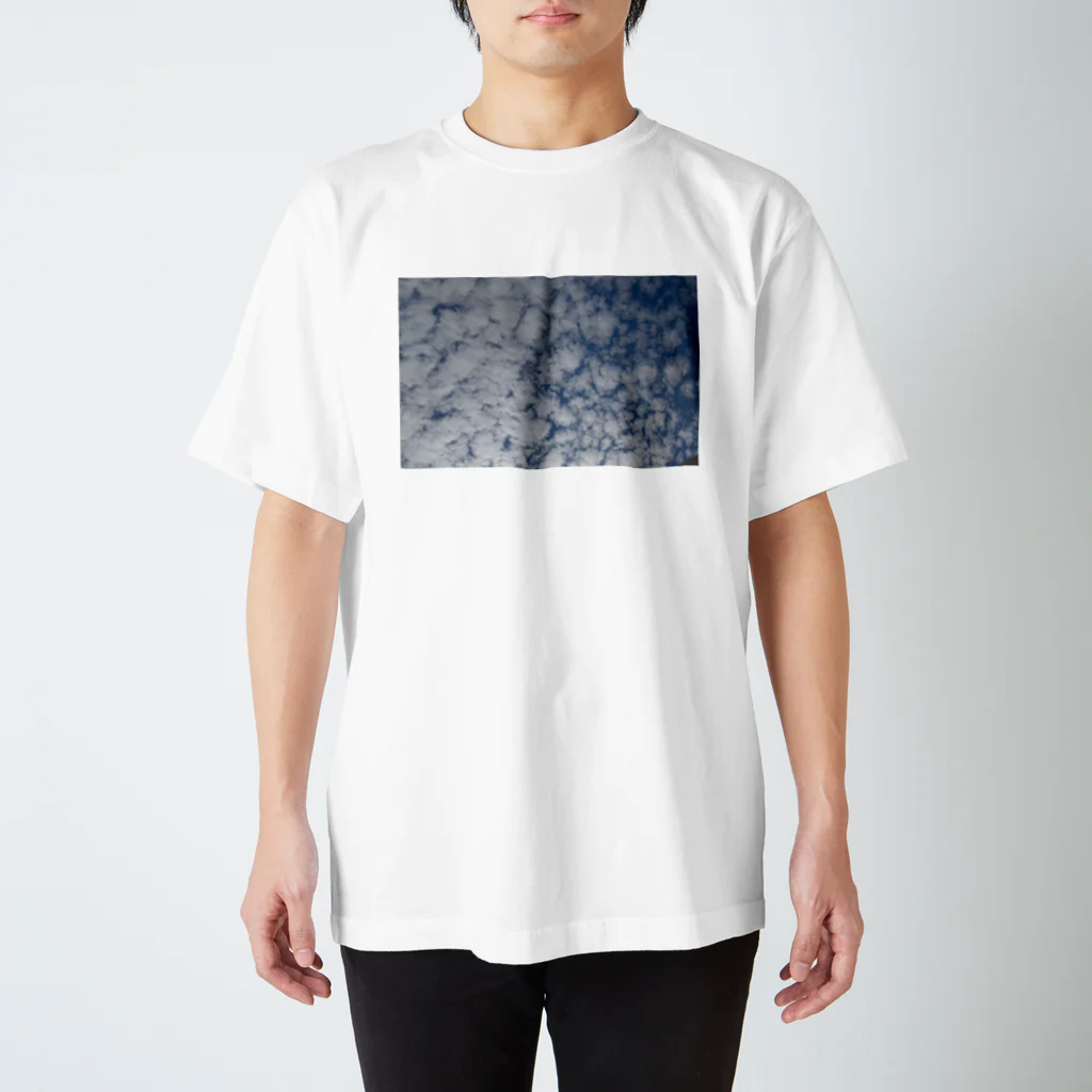 ふくふくろうのくもくももくもく Regular Fit T-Shirt