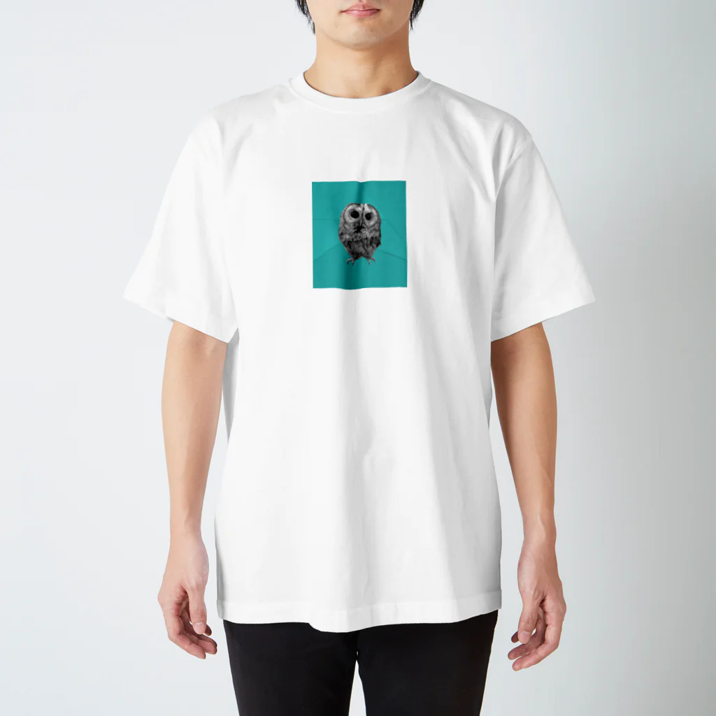 nanaのかわいいモリフクロウ Regular Fit T-Shirt