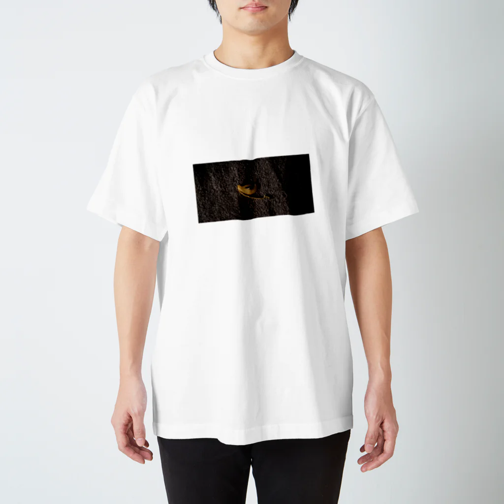 snap.eijiのバナナパート2 スタンダードTシャツ