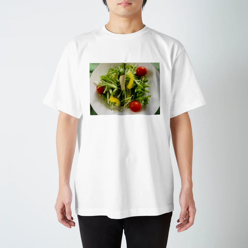 🌹DonDonHAPPYni🌹の🥗サラダ スタンダードTシャツ