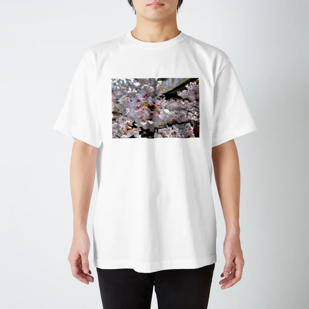 sceneryの桜 Regular Fit T-Shirt