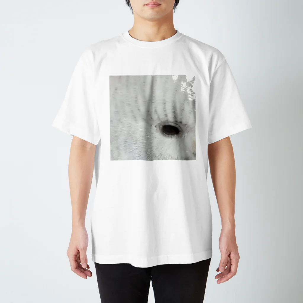 FurimのFurim Regular Fit T-Shirt